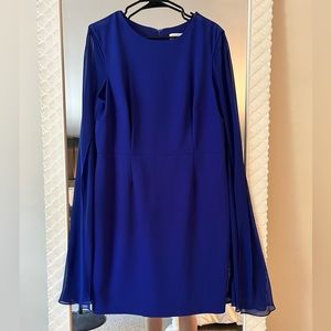 Calvin Klein Cape Dress (14)